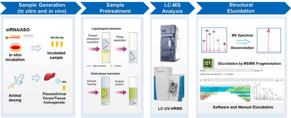 Platform for whole process of oligonucleotide MetID