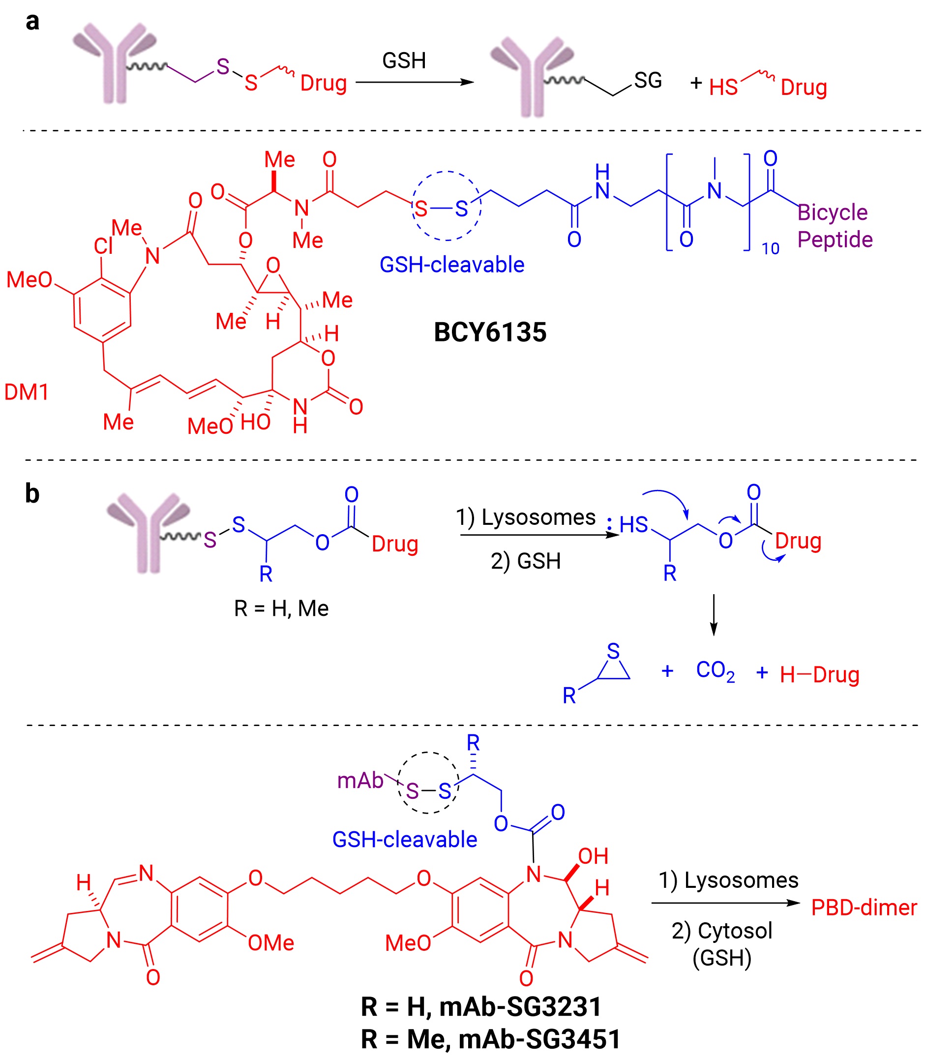 Two types of GSH-cleavable linkers, and the corresponding examples