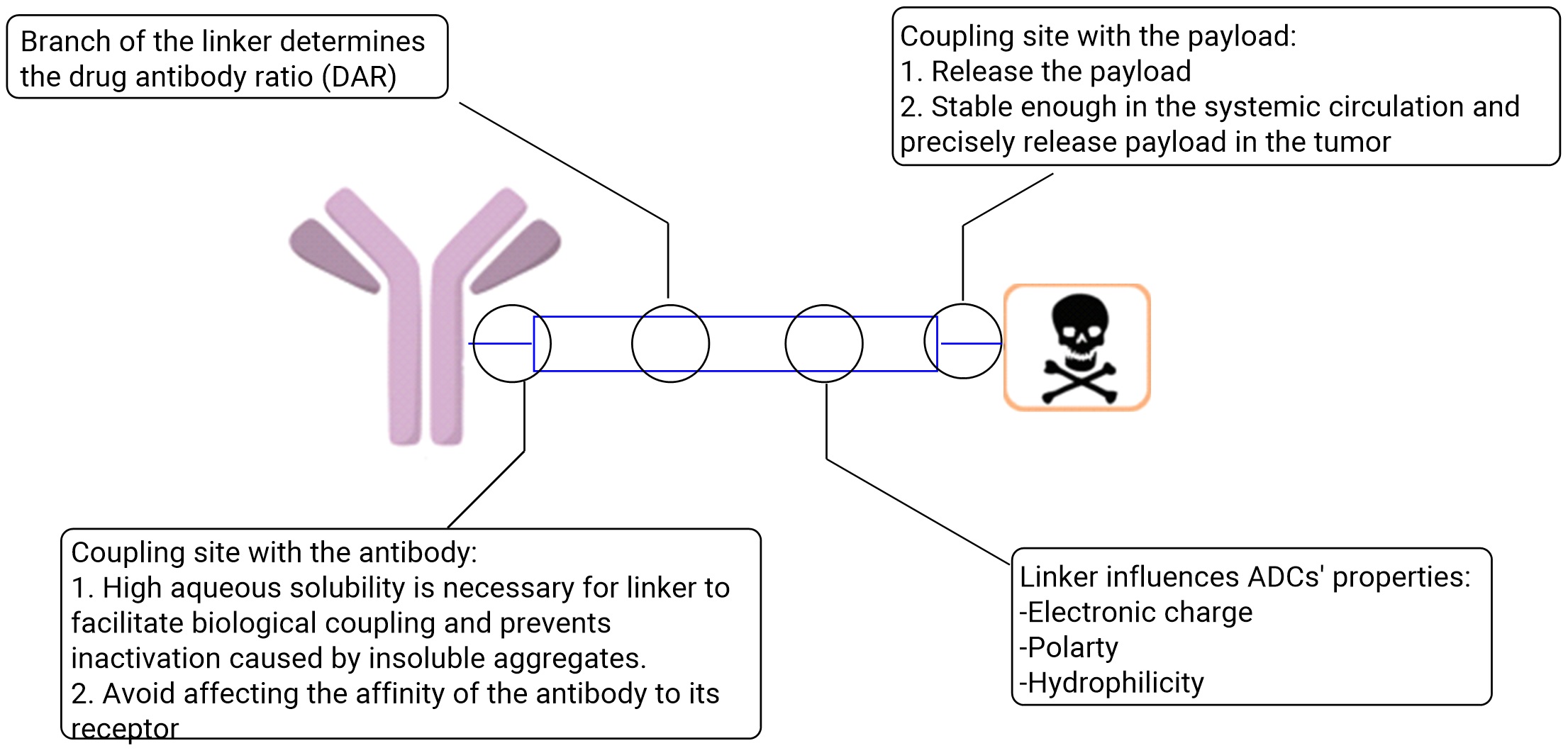 Considerations for Linker Design of drug conjugates