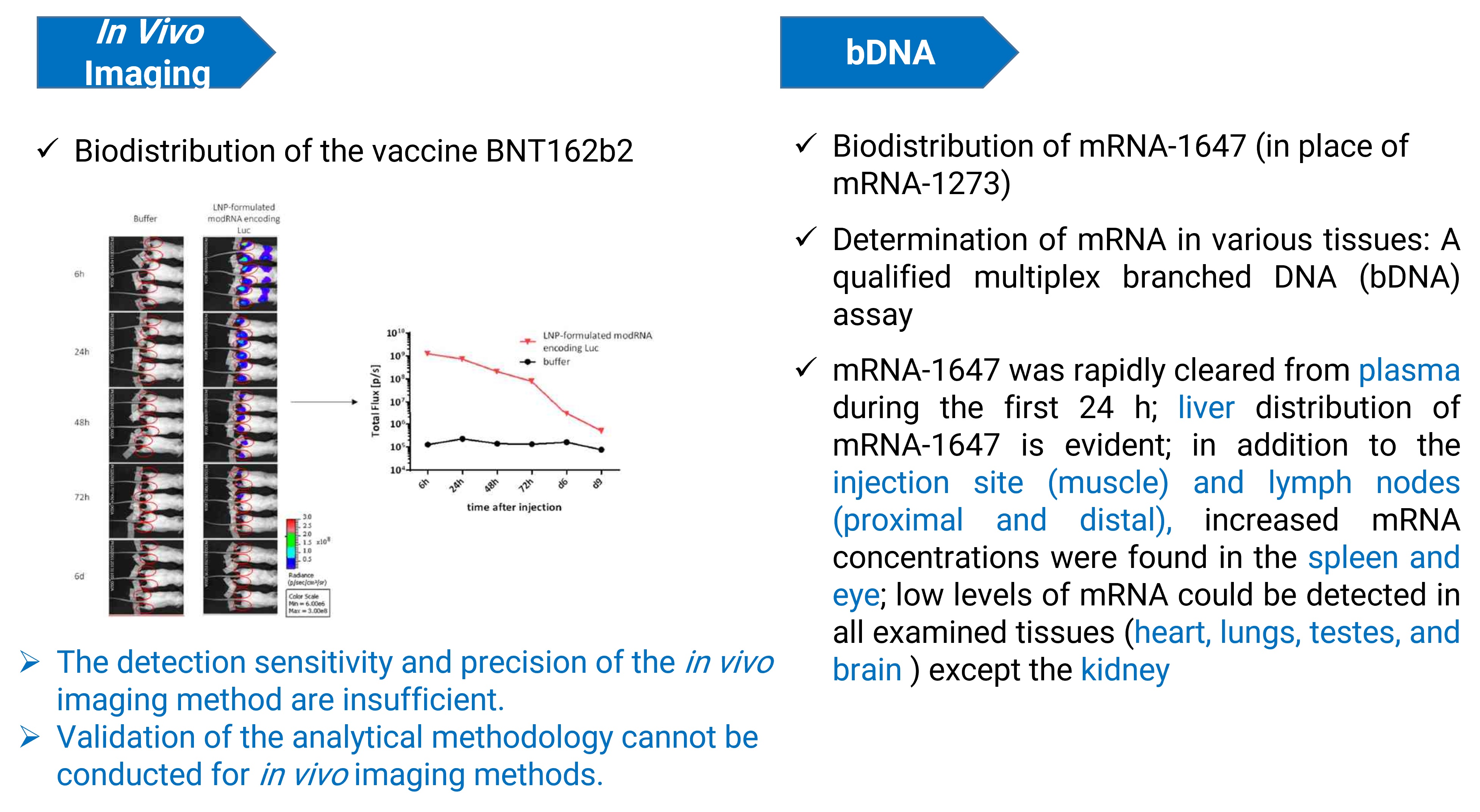 Biodistribution studies of approved mRNA vaccines