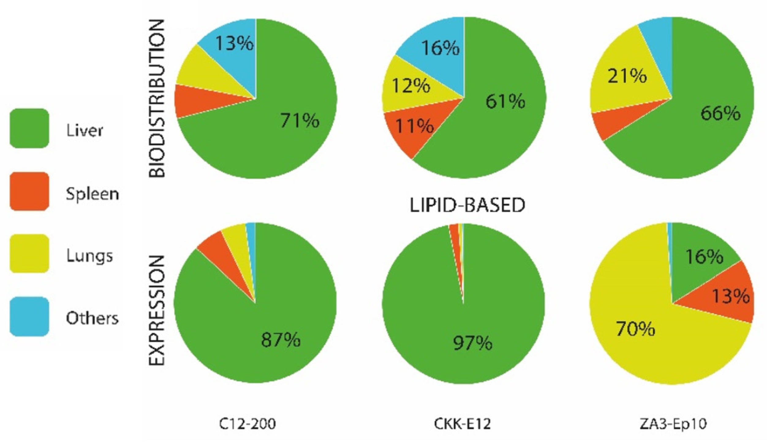 The distribution of mRNA and its encoded protein in different tissues