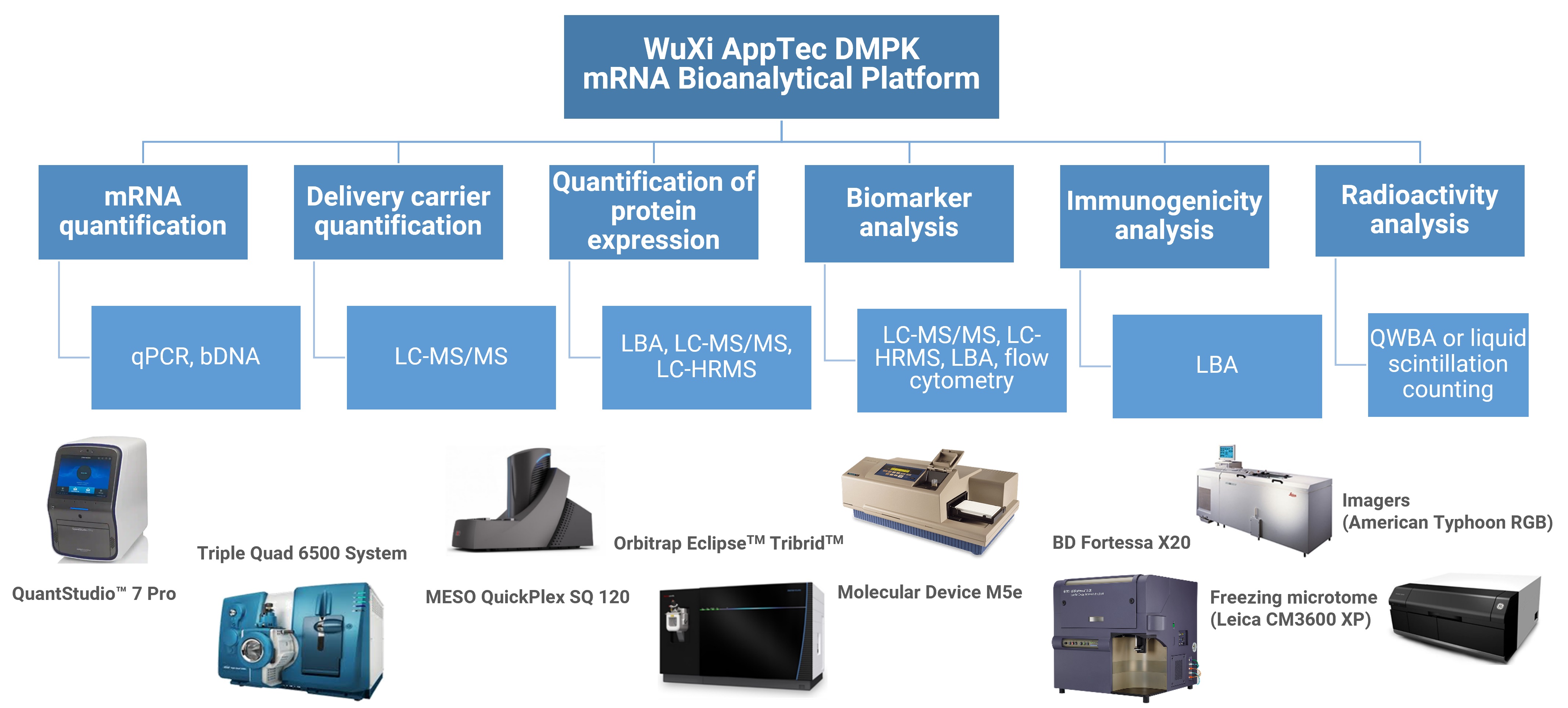 Integrated bioanalytical platform for mRNA-based therapeutics