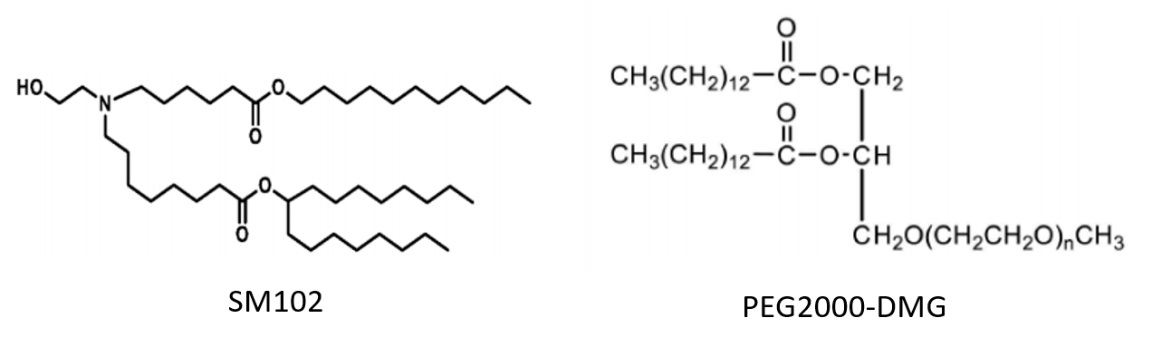 Molecular structures of SM-102 and PEG2000-DMG