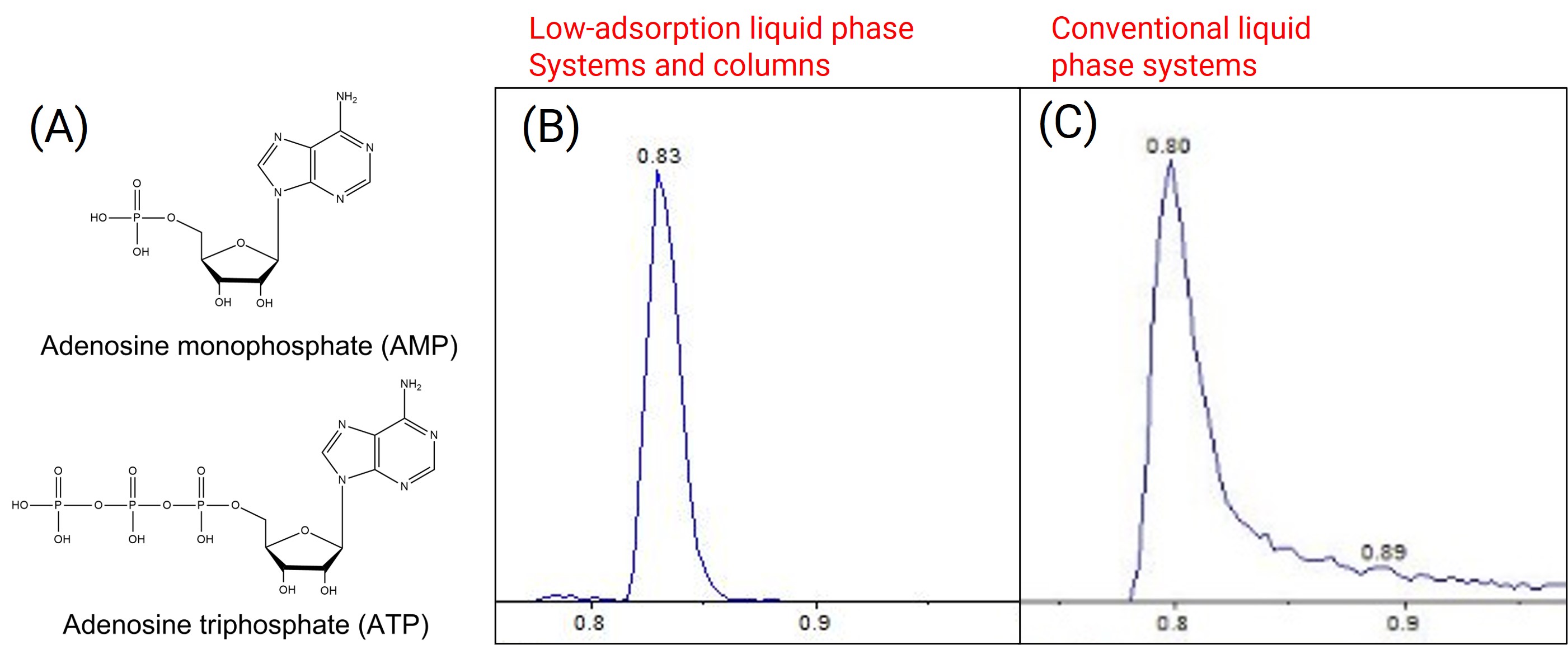 A) Structural formula of AMP and ATP. B) Symmetrical peak shapes achieved utilizing low adsorption liquid phase system and chromatographic column