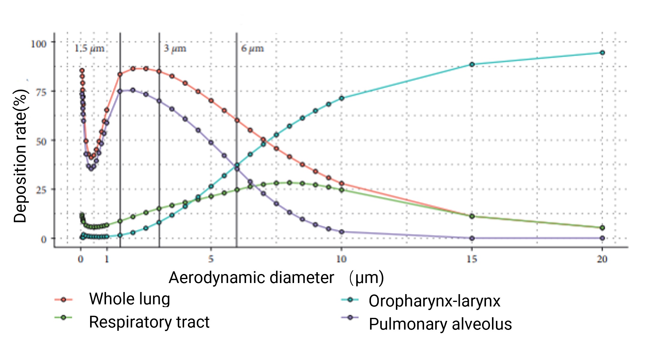 Relationship between location of deposition and drug particle size