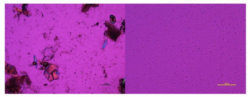 Tissue after homogenization