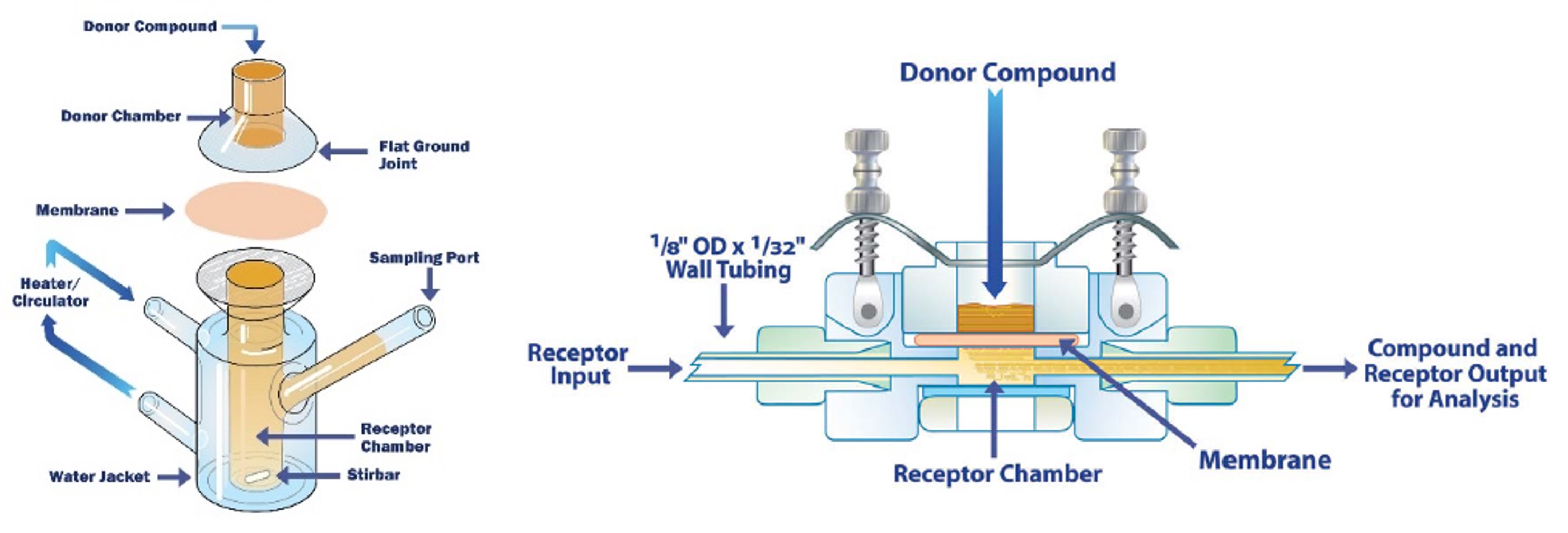 Schematic diagram of commonly used diffusion cells (left, SC; right, CFC)
