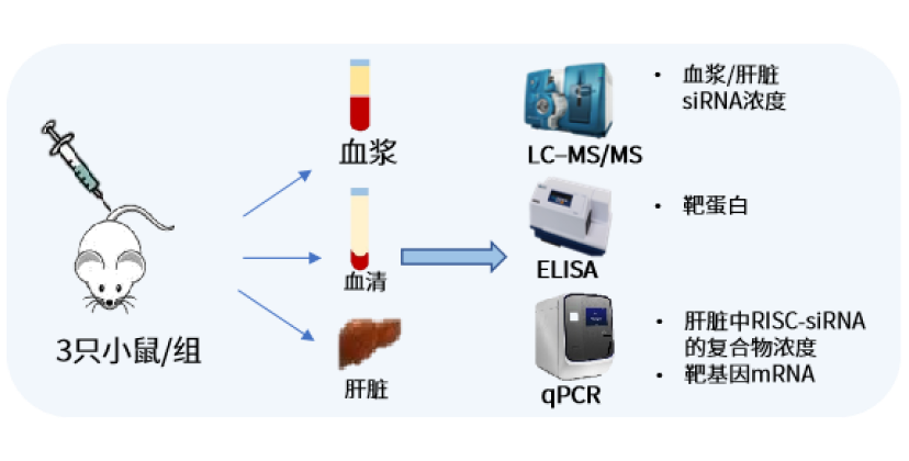 1731899546626885.png 小鼠.png