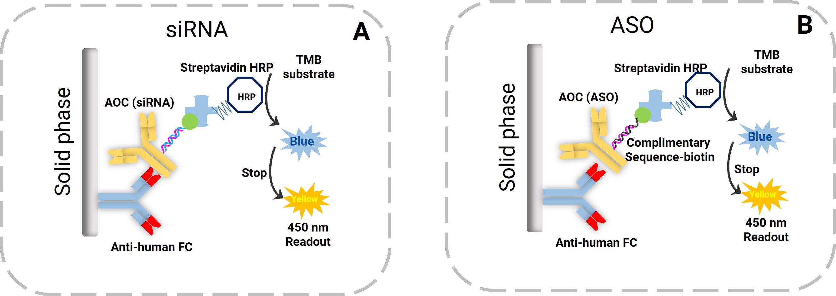 Schematic of the ELISA assay format for AOC conjugated antibody bioanalysis