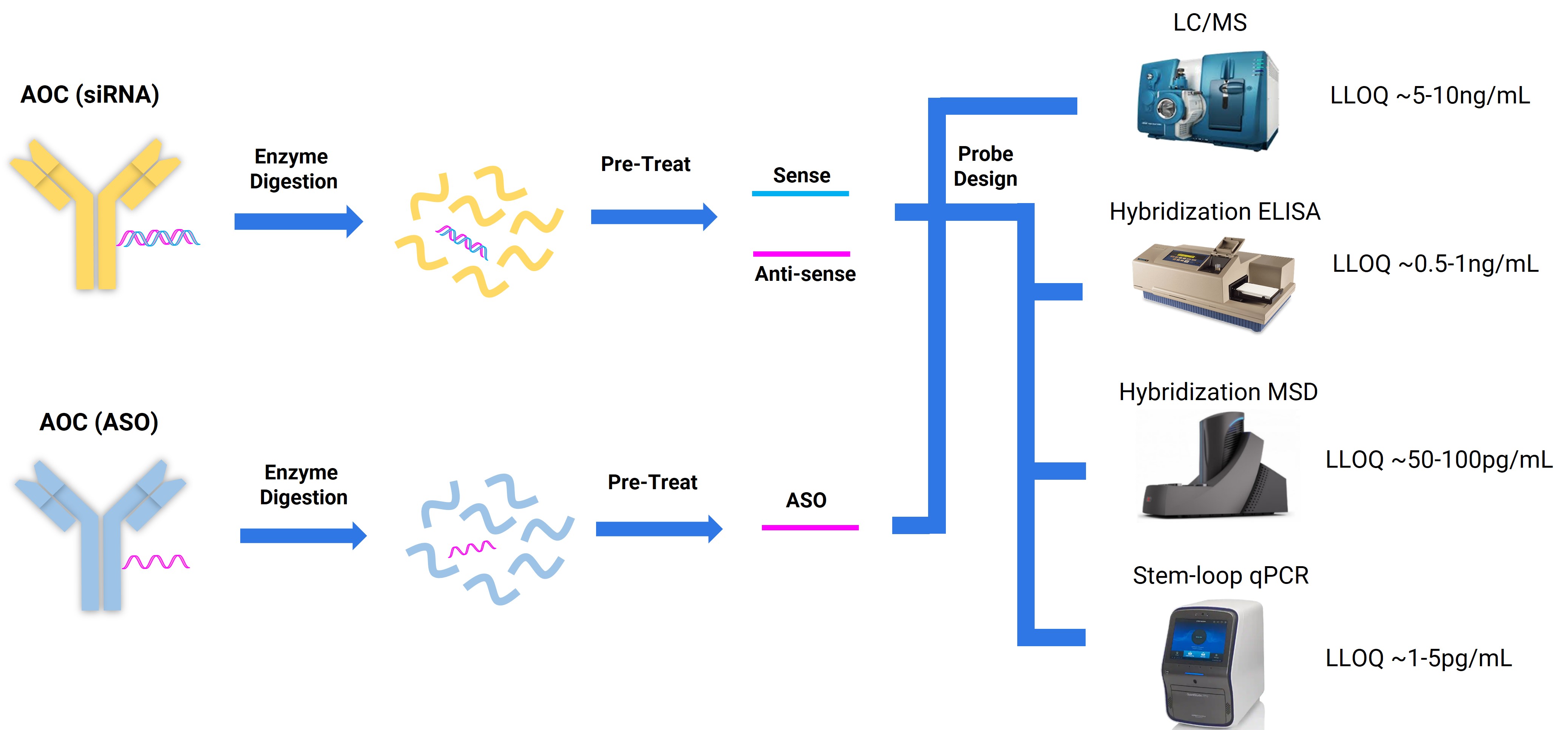 Schematic of AOC-coupled oligonucleotide analysis