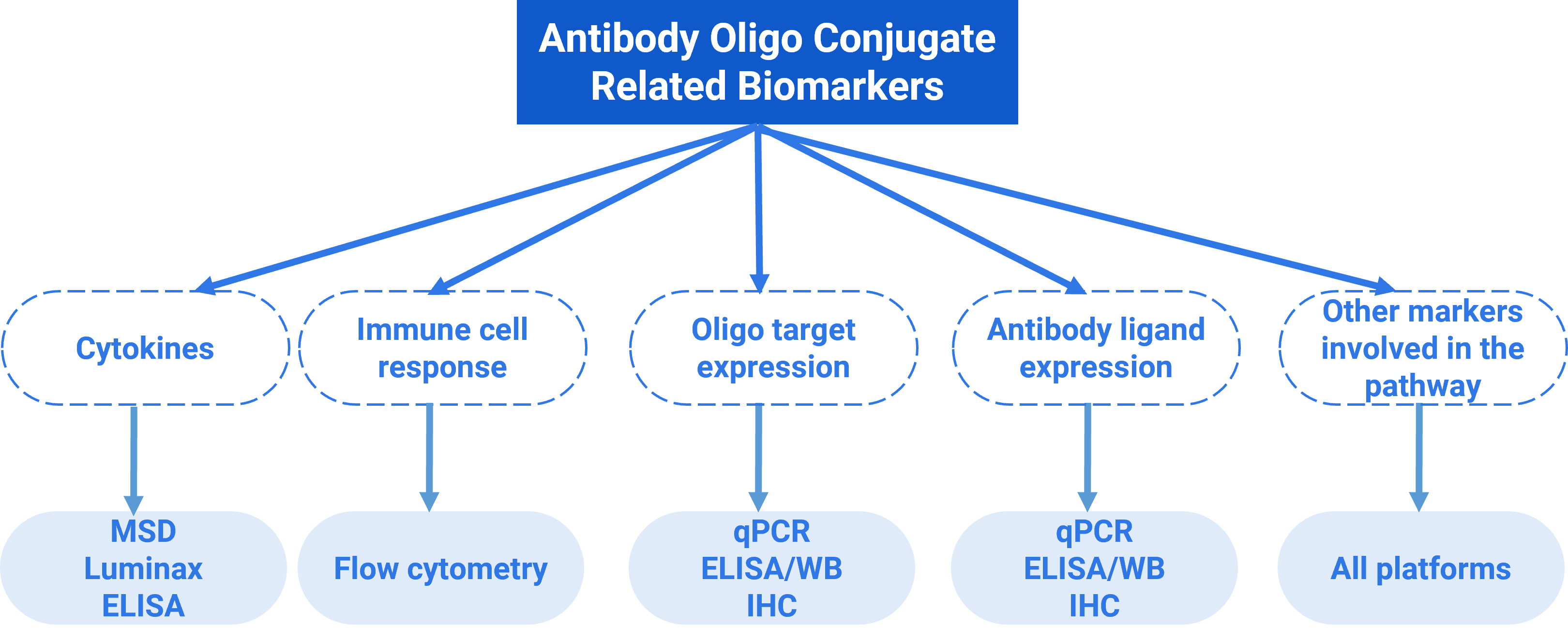 Schematic diagram of AOC-related biomarker analysis, including the analysis of oligonucleotide target expression (mRNA or its expression protein), antibody ligand expression, immune cell response, cytokine, and other markers involved in the pathway