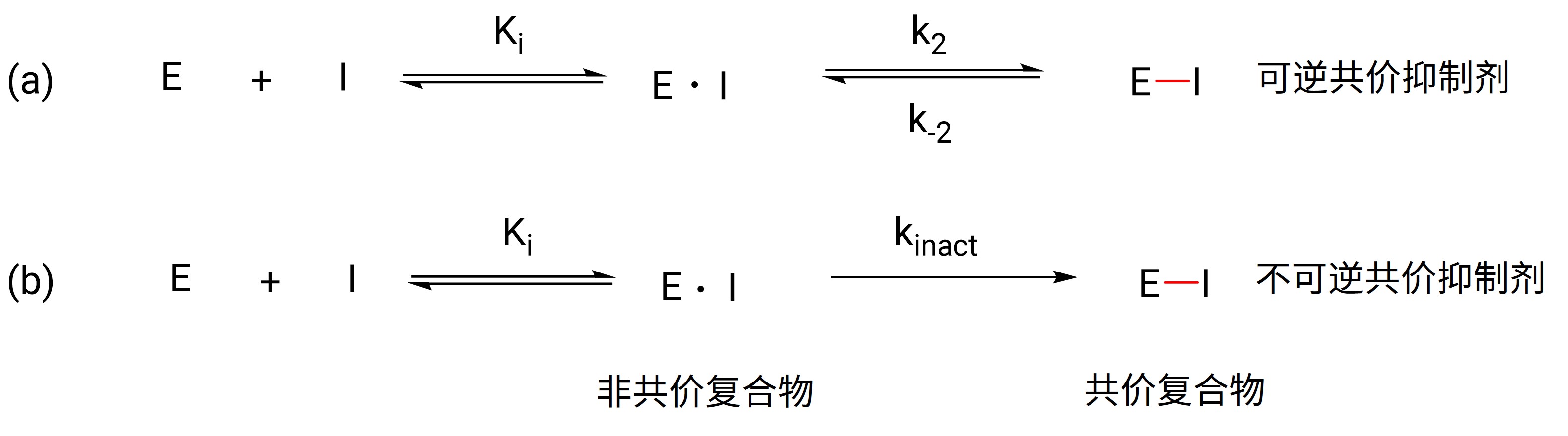图5. 共价抑制剂的作用机制.jpg