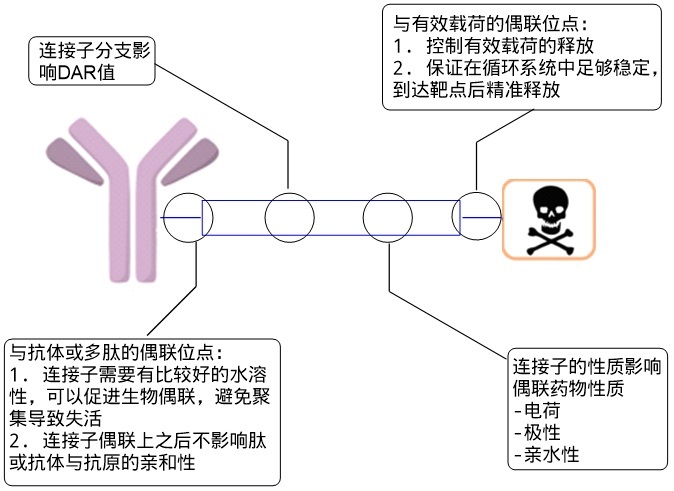 连接子选择的考量因素