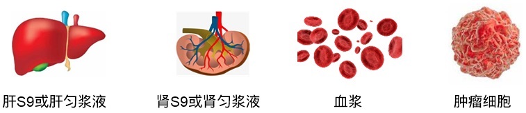 药明康德DMPK平台评价偶联药物稳定性的其他基质