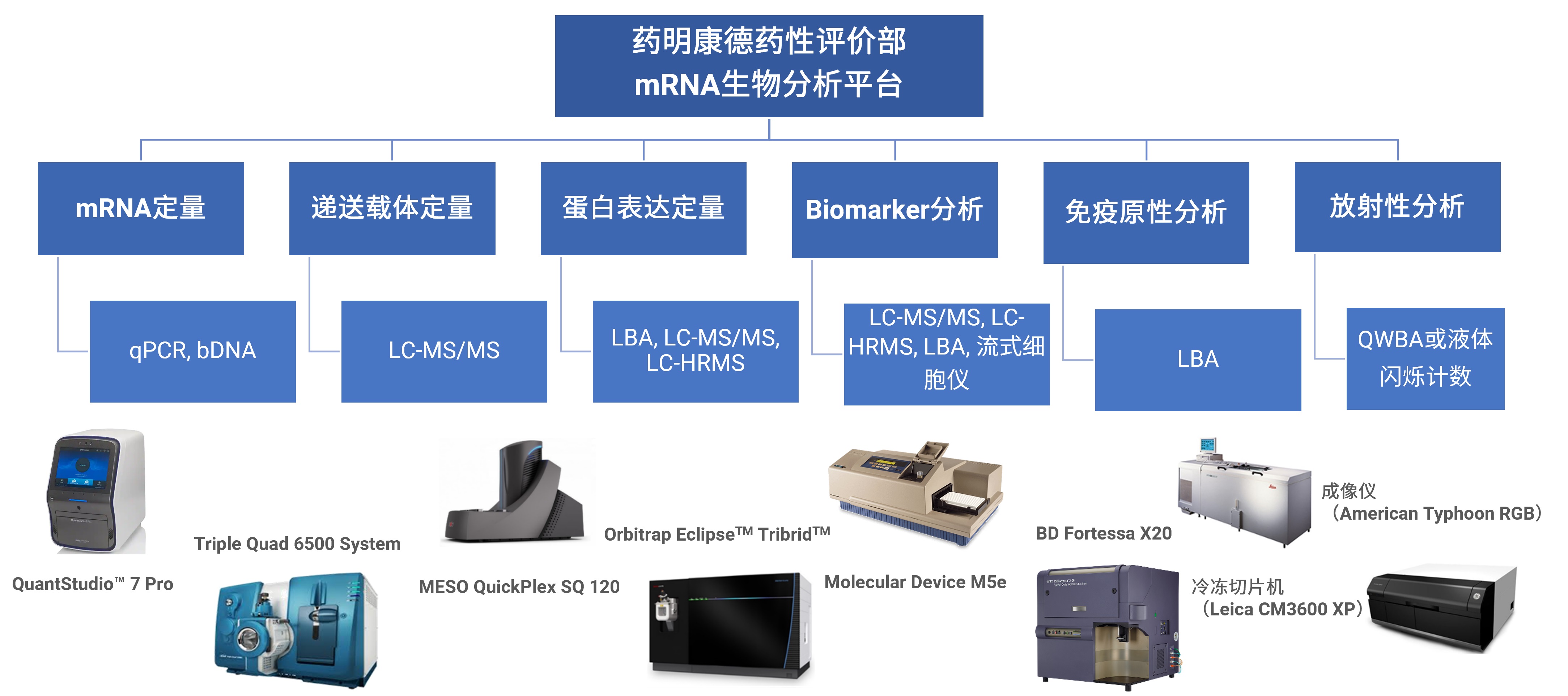 图片8.jpg