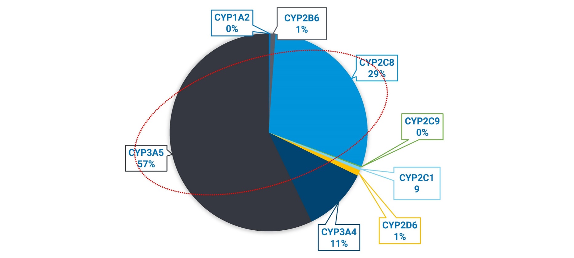 图6：8CYPs对代谢产物M1生成的贡献比例
