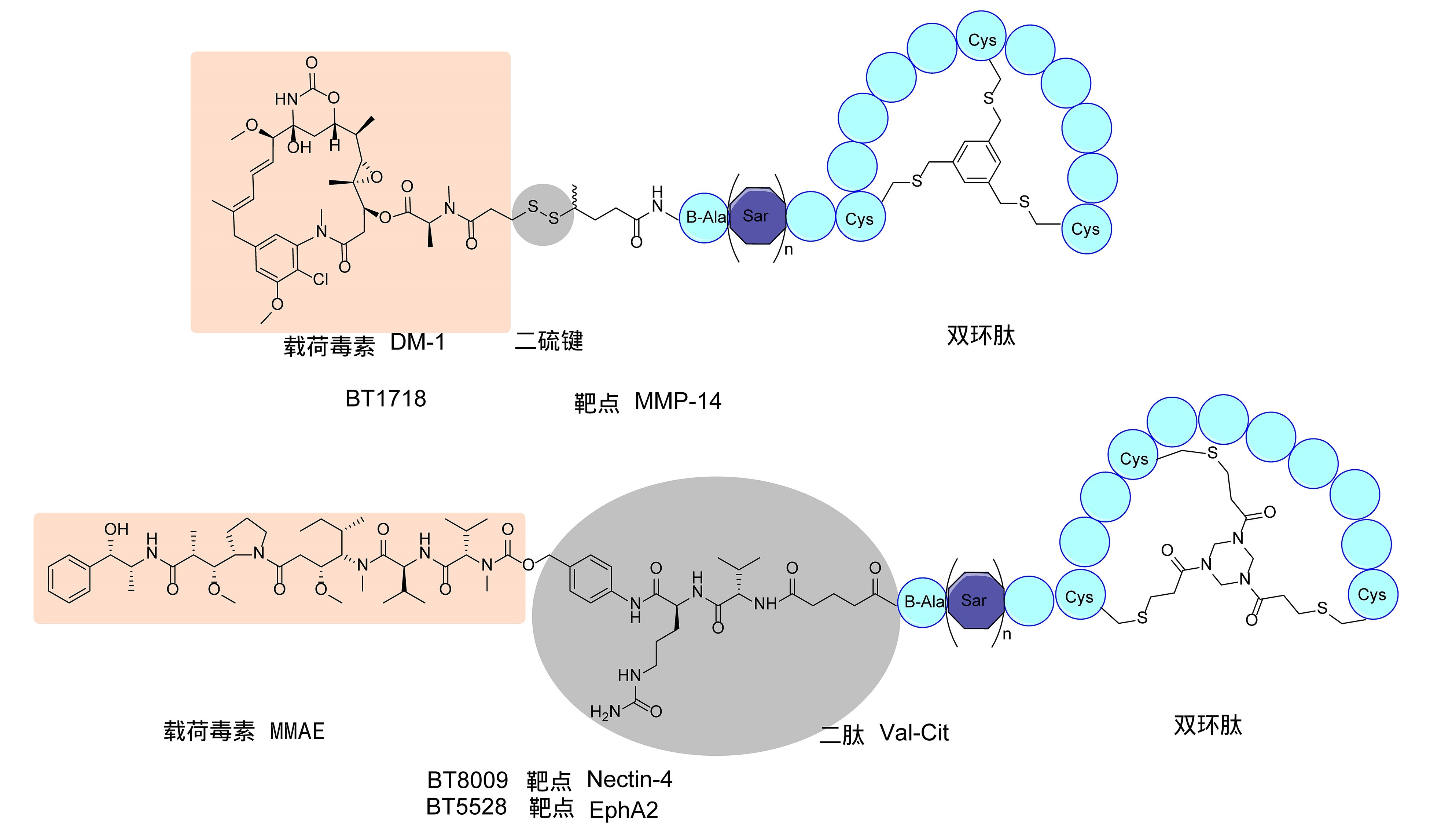 图7. BT1718、BT8009和BT5528的结构示意图.jpg