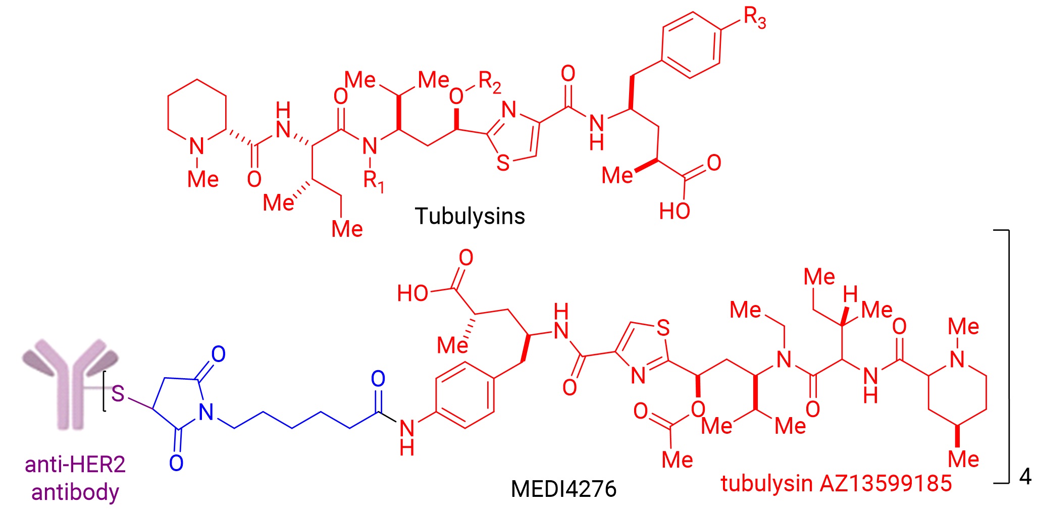 图7. Tubulysins类家族及MEDI4276结构.jpg