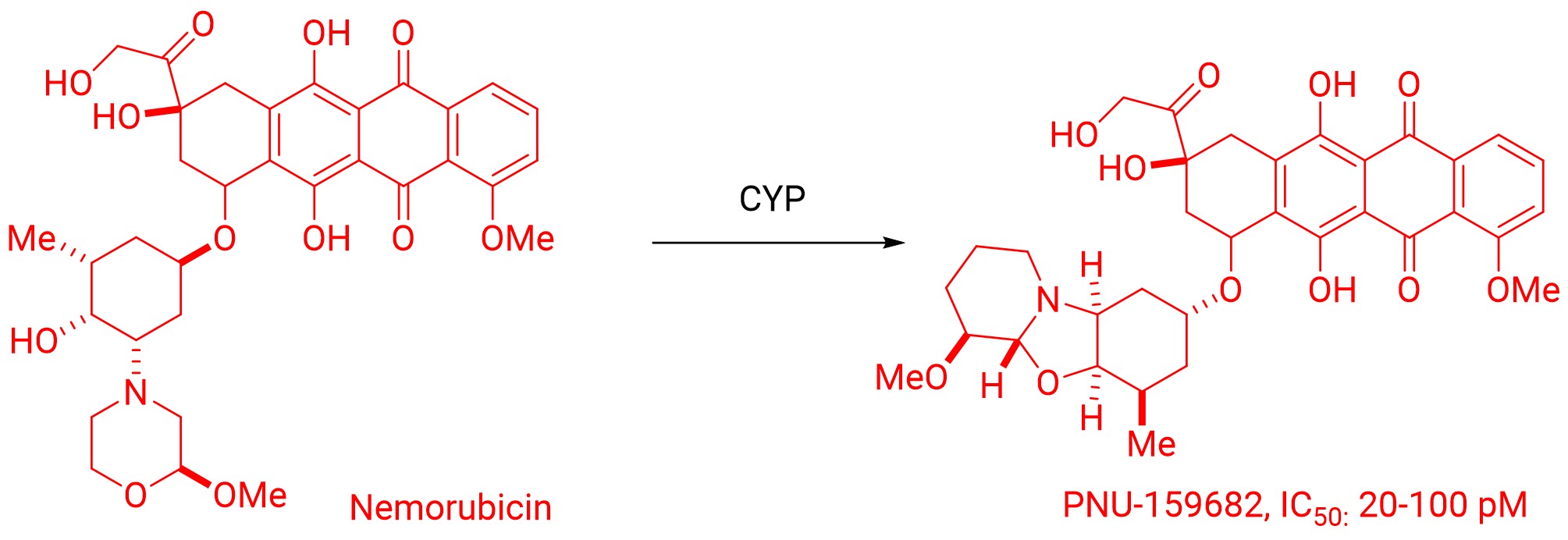 Nemorubicin is converted to PNU-159682 in the liver