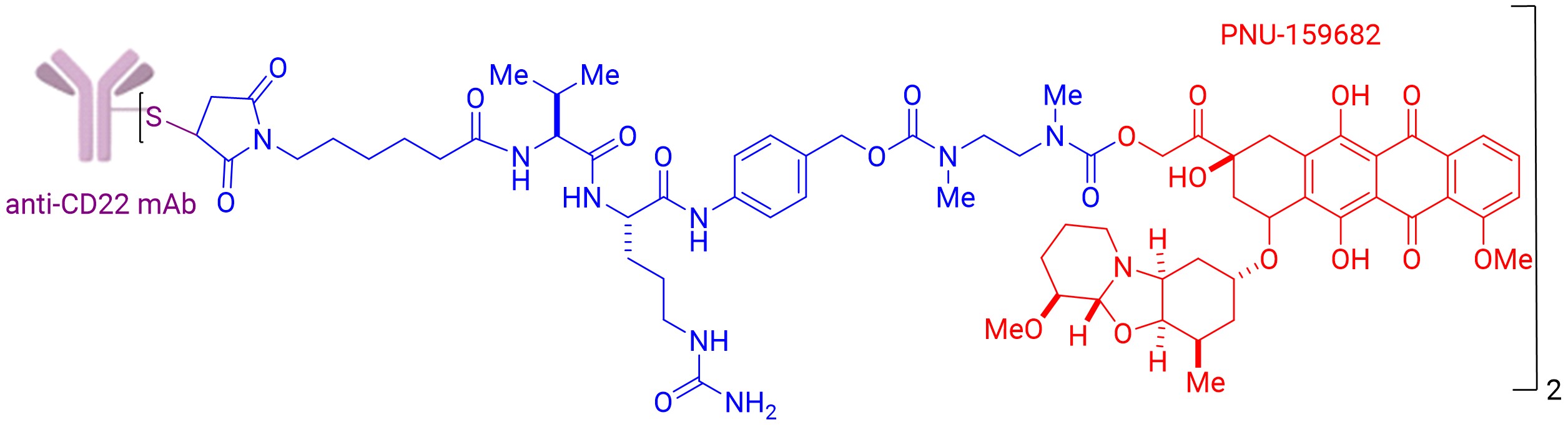 Structure of the anti-CD22-NMS249 ADC