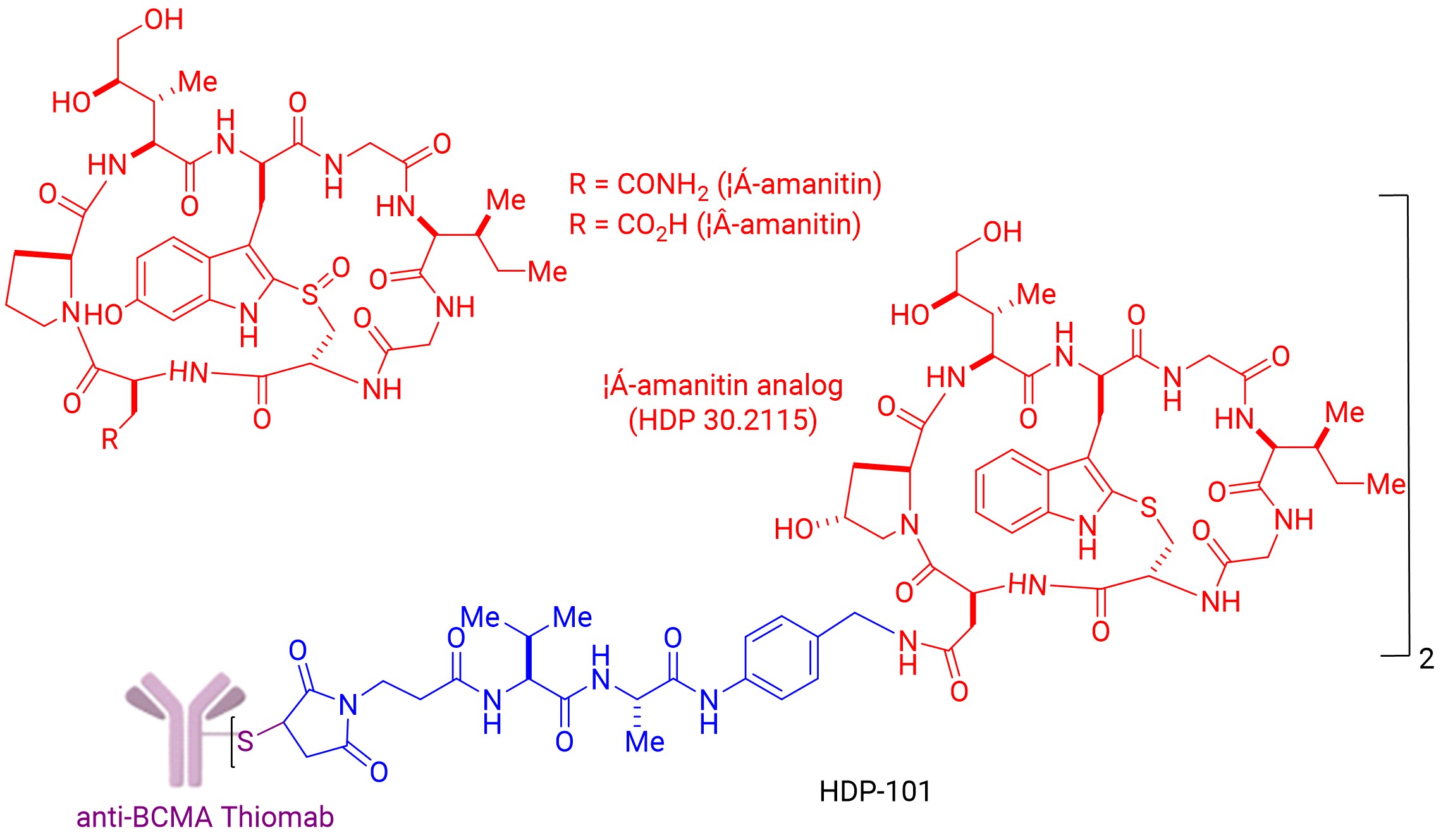 α-amanitin and β-amanitin and HDP-101 structures