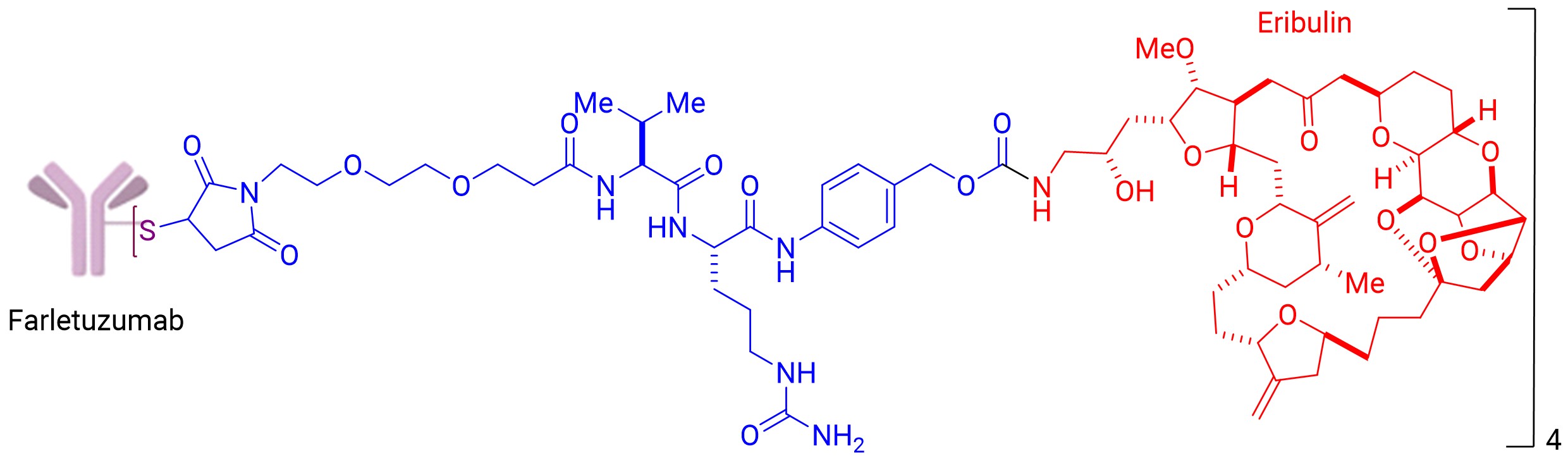MORAb-202 structure