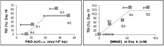 Relationship between drug concentration and tumor inhibition in tumor tissues in animal models