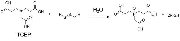 Tris (2-carboxyethyl) phosphine (TCEP) is involved in the thiol reduction reaction Tris (2-carboxyethyl) phosphine (TCEP) is involved in the thiol reduction reaction