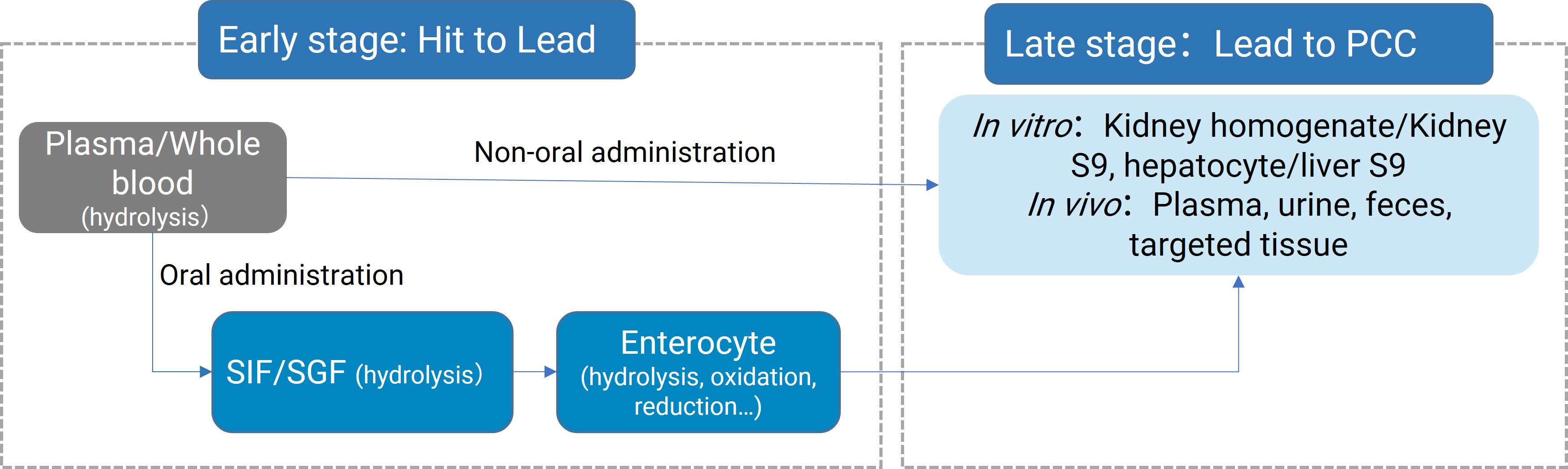 Experimental system for the study of metabolites for conventional administration and oral administration