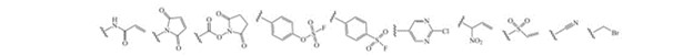 Lysine