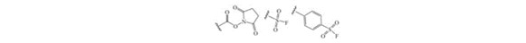 Tyrosine