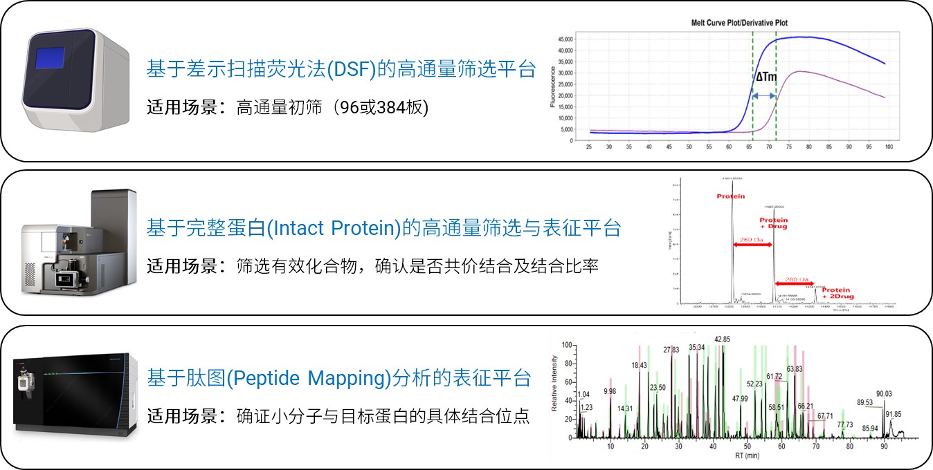 图8. DMPK共价结合药物筛选与表征平台.jpg
