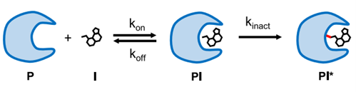 Mechanism of covalent inhibitor