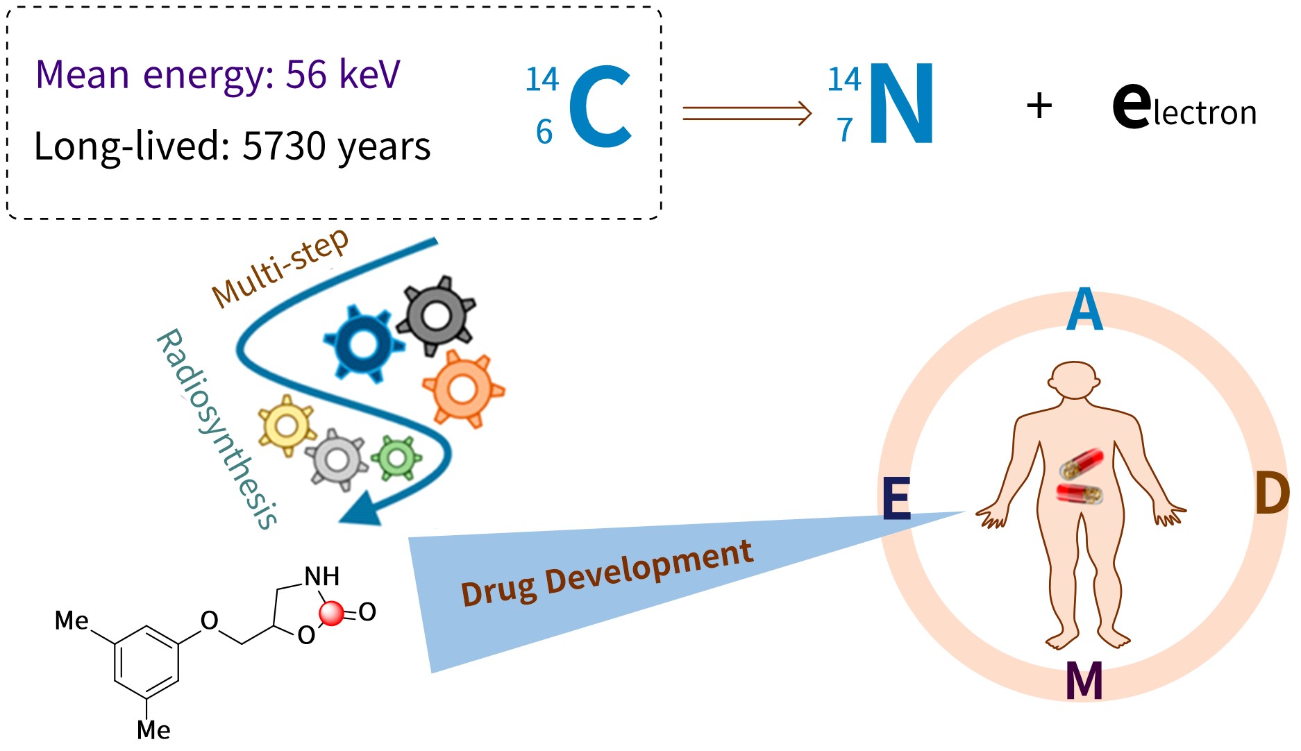 Application of carbon-14 radiolabeled compound tracer technology