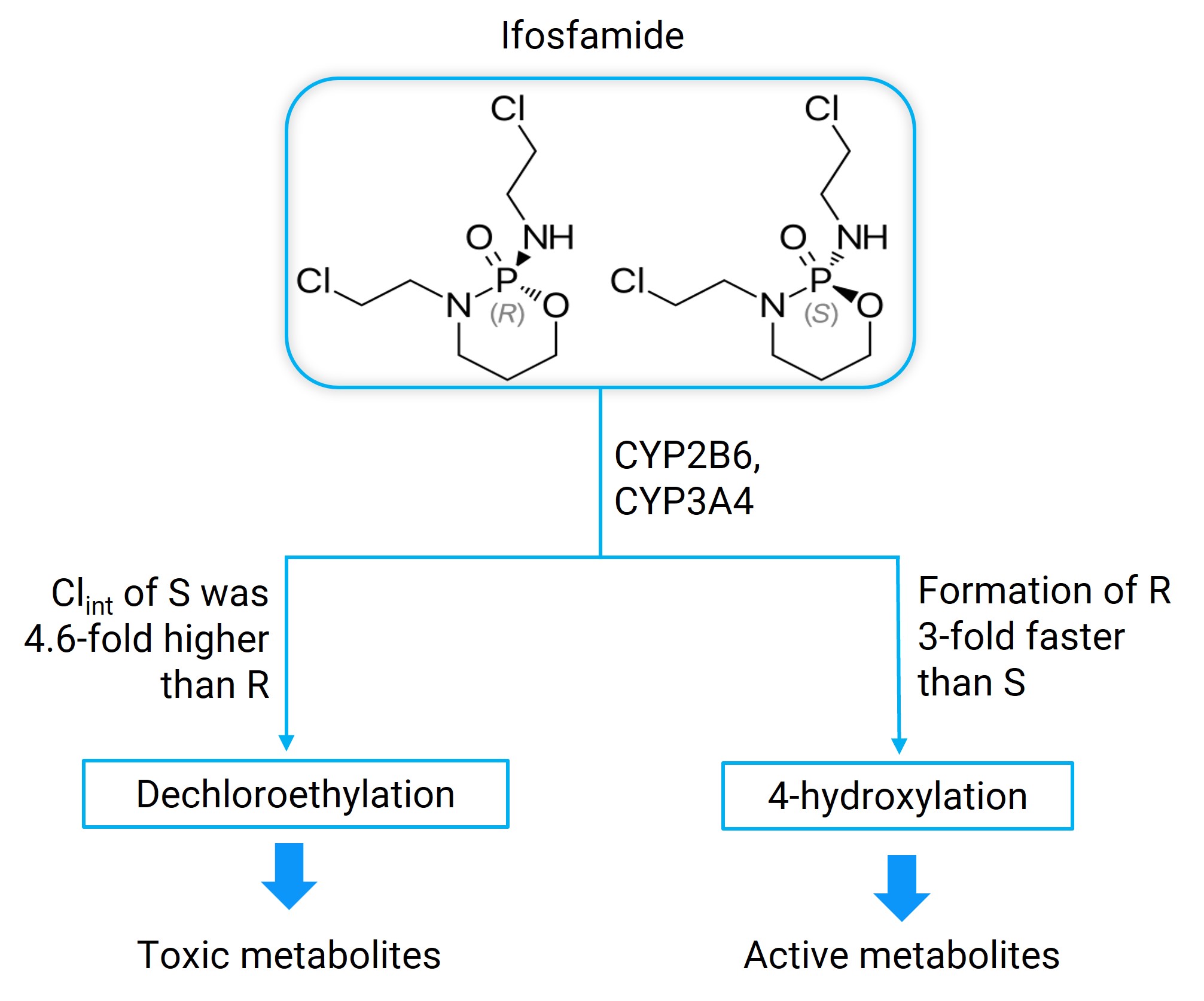 Stereoselective metabolism of Ifosfamide