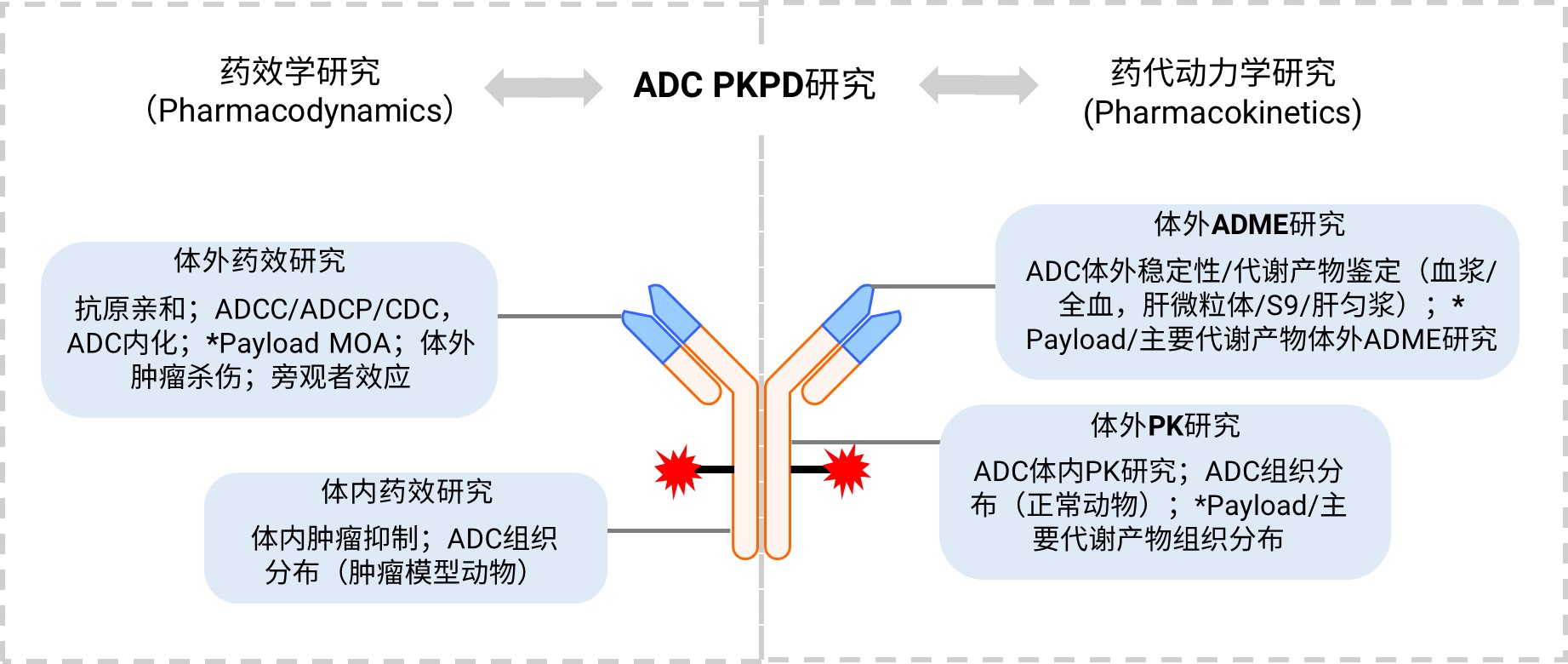 ADC药物临床前PKPD研究示意图