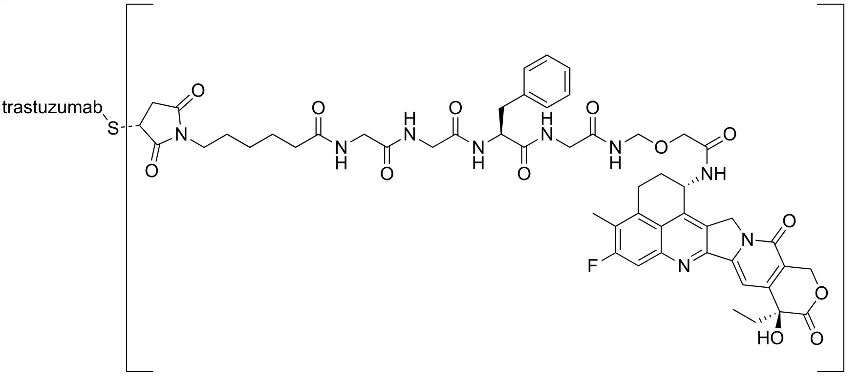 DS-8201 structure