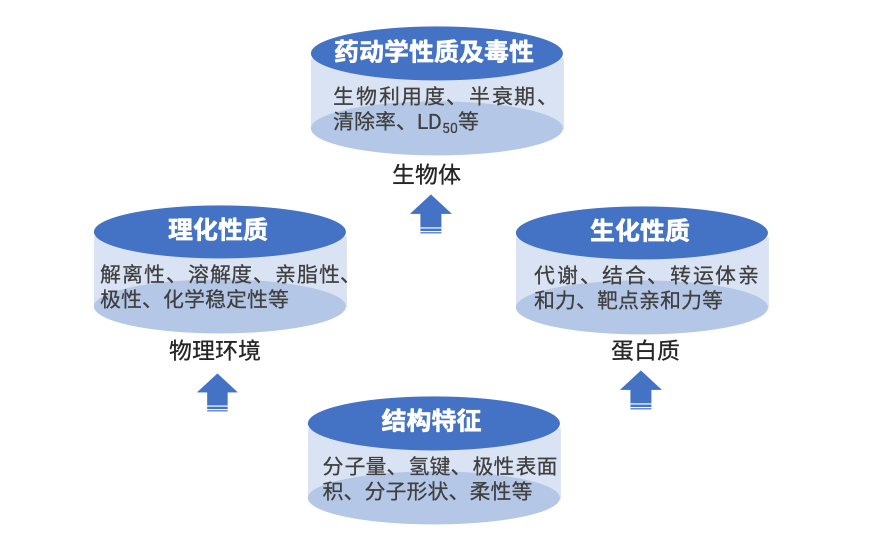 化合物的结构、性质与药动学及毒性的关系 化合物的结构、性质与药动学及毒性的关系