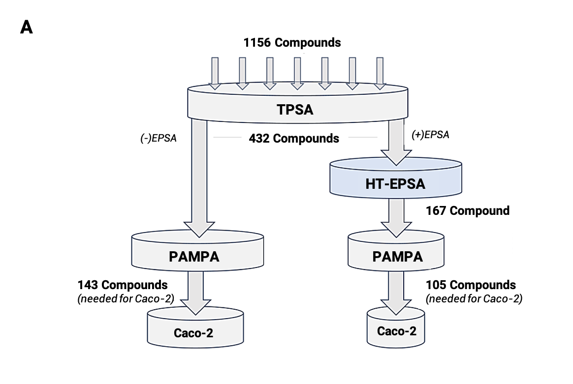 (A)为1156种化合物的回顾性漏斗分析,终点为TPSA、EPSA、PAMPA和Caco-2,EPSA校正了化合物筛选优先级 (A)为1156种化合物的回顾性漏斗分析,终点为TPSA、EPSA、PAMPA和Caco-2,EPSA校正了化合物筛选优先级