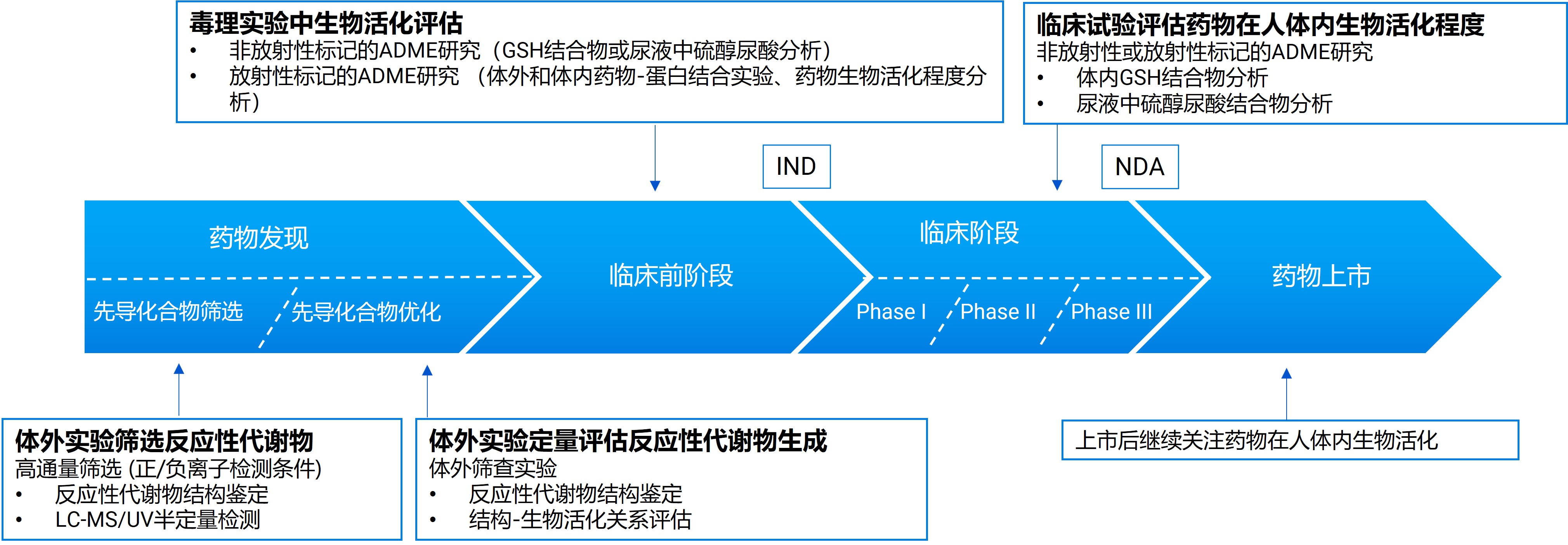 反应性代谢物在新药研发各阶段筛查策略