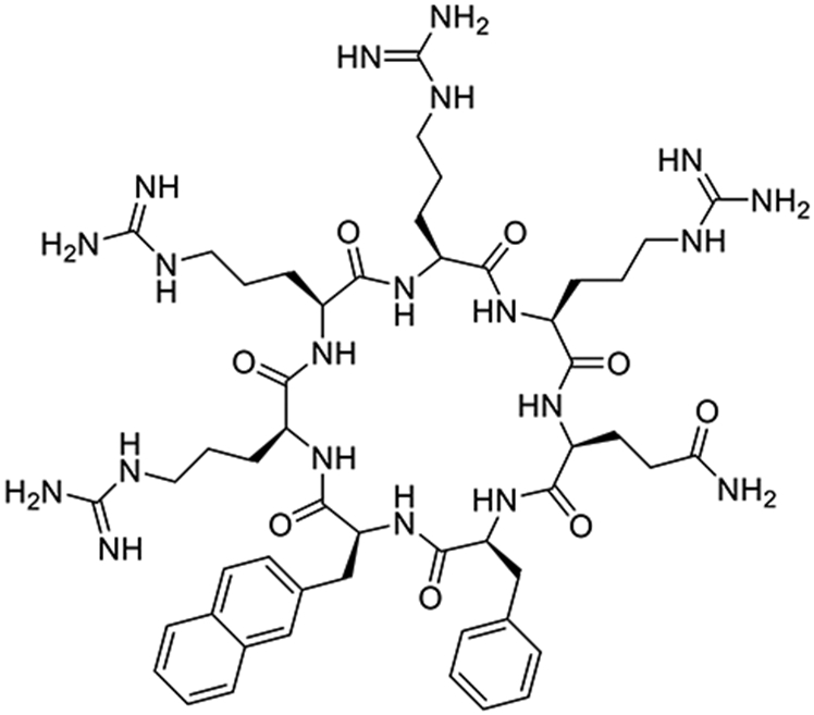 Cell-Penetrating Peptide 1 (CPP1)