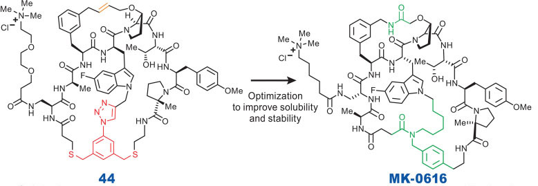 Structural Optimization of Lead Compound 44 to MK-0616