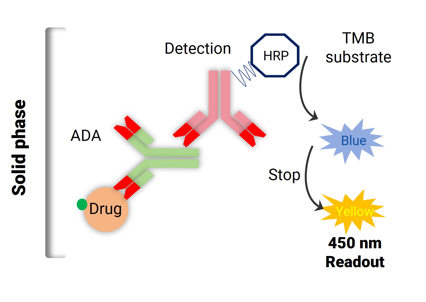ELISA direct method