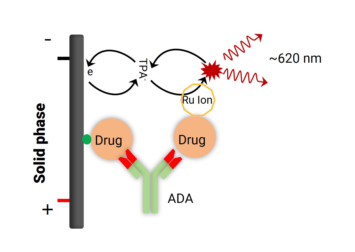 ECL bridging method