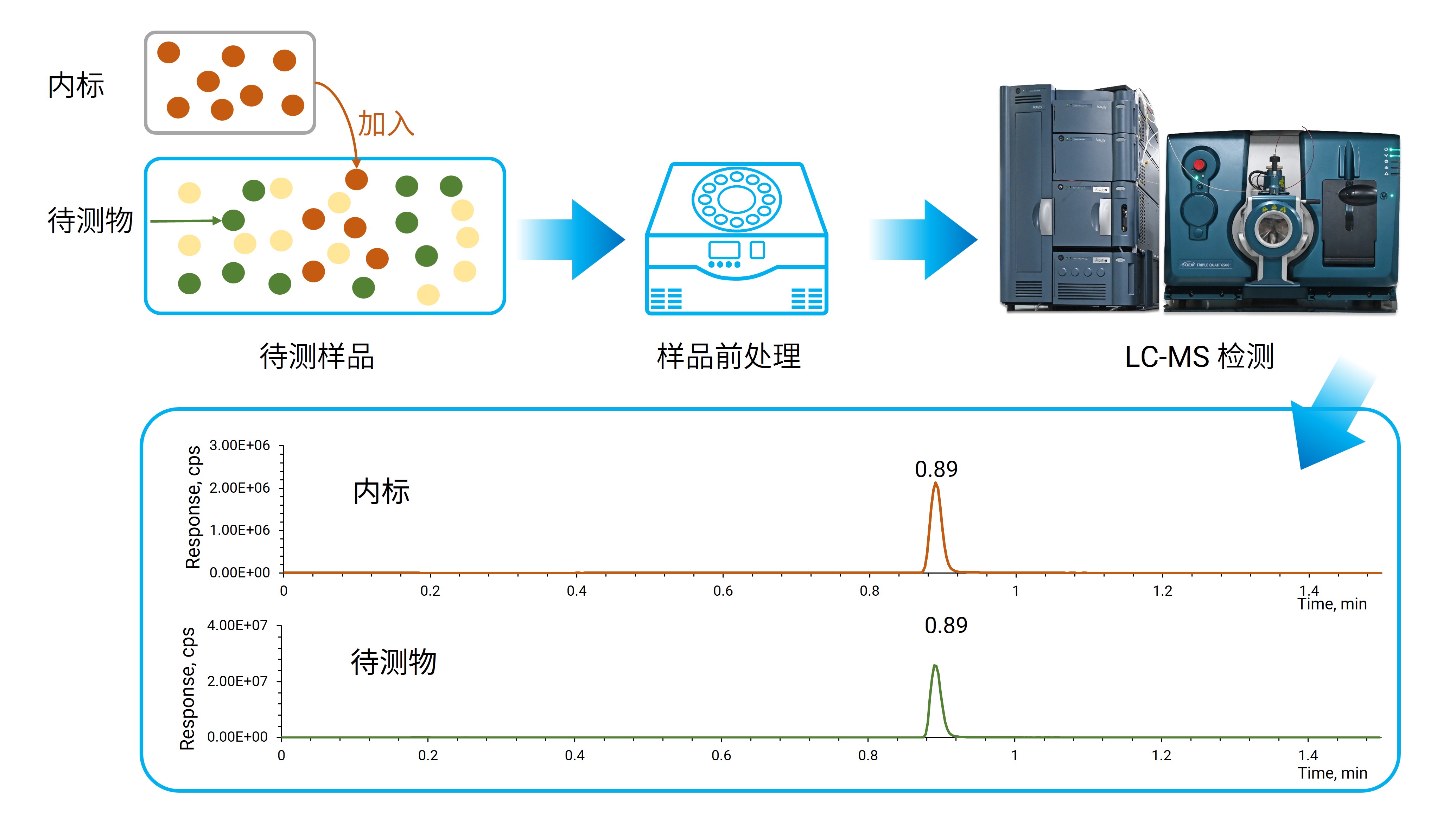生物样品的前处理及LC-MS分析