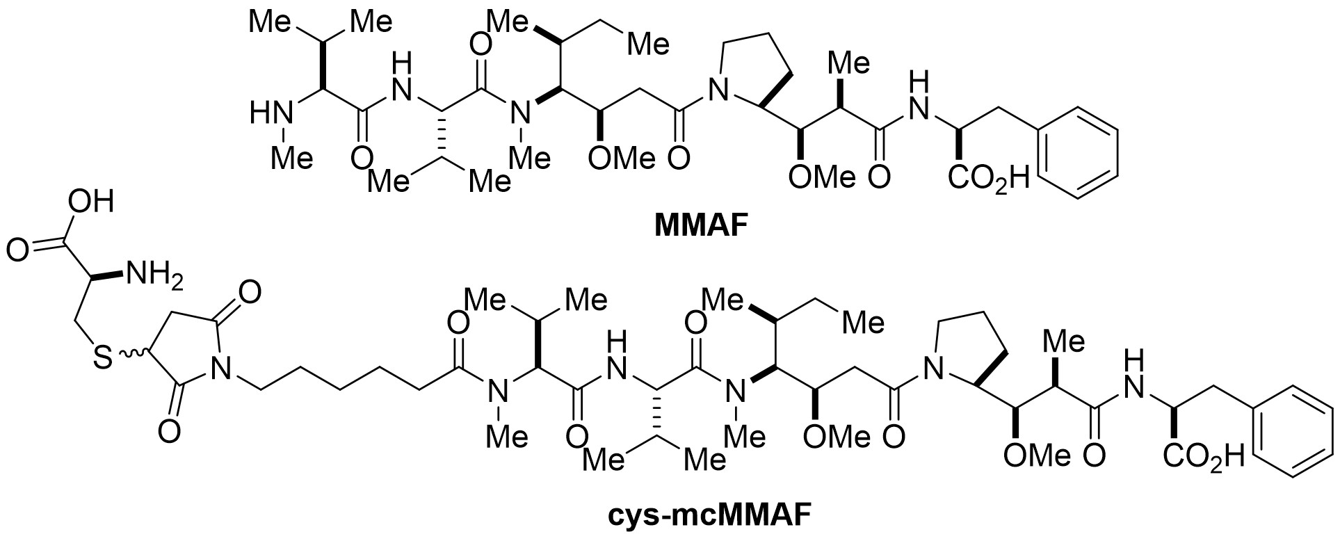 MMAF和cys-mcMMAF的结构