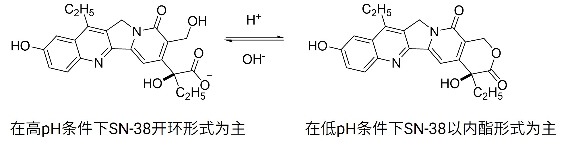 pH介导的SN-38内酯和开环形式的相互转化