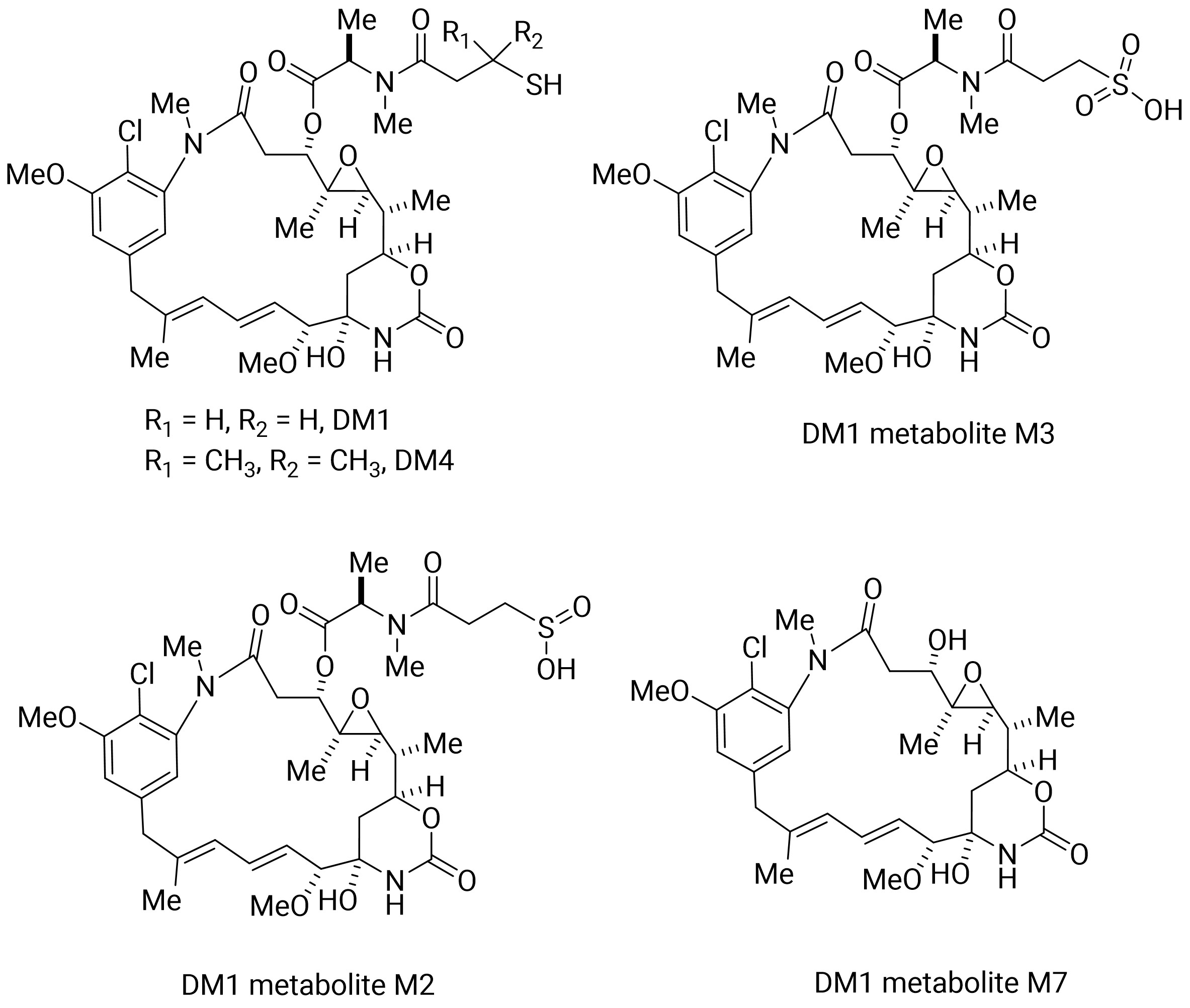 The Structures of DM1/DM4 and Proposed Structures of Metabolites of DM1 The Structures of DM1/DM4 and Proposed Structures of Metabolites of DM1