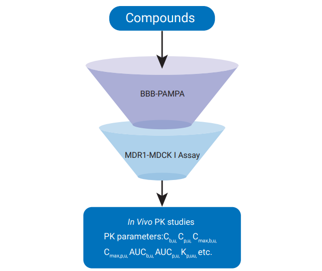 “Funnel” Model to Evaluate and Select BBB Permeable Compounds