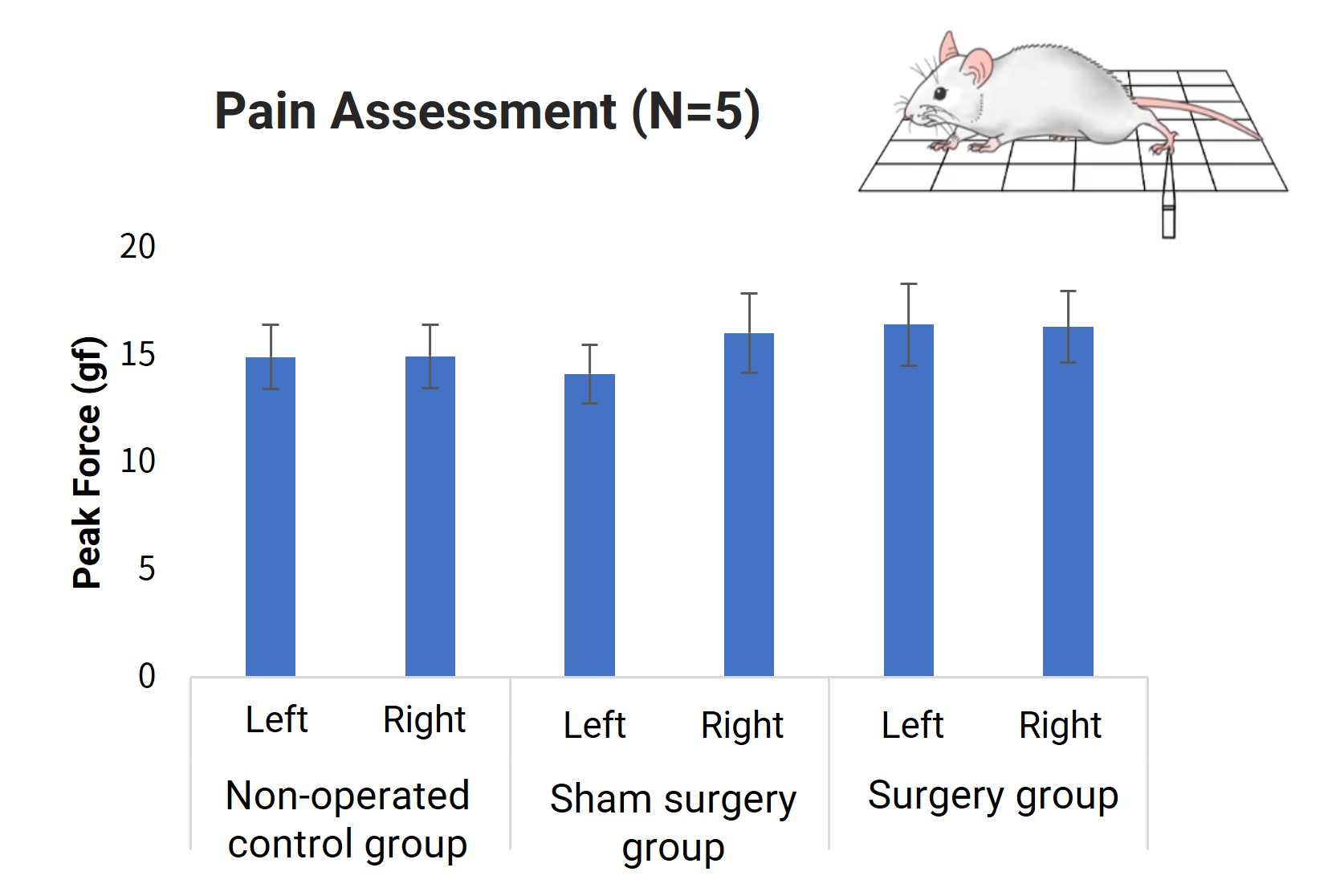 Post-Operative Pain Assessment (Hindlimbs, N=5)